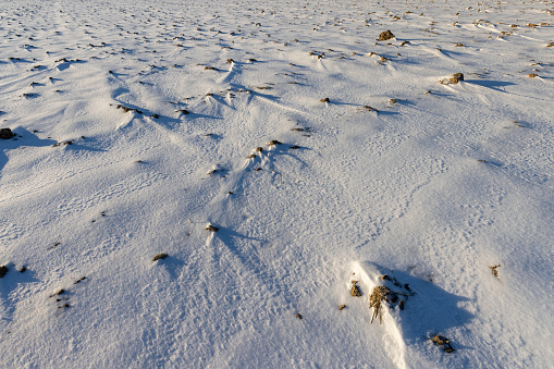 a field has been plowed with soil that is partially covered with snow, pieces of soil stick out from under the snow in winter