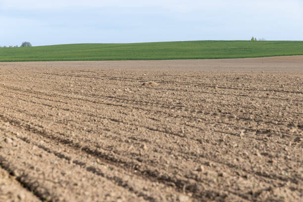 istock soil preparation in a field for plants 2120388282