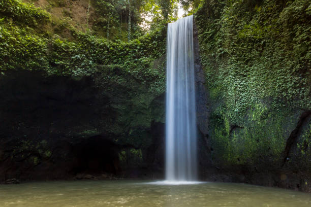 istock Waterfall in Ubud, Bali, Indonesia 2120408066