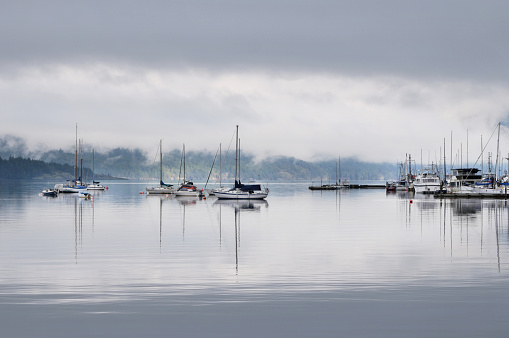 Sailing boats in calm bay coming through thick fog and morning mist. Moody atmosphere.