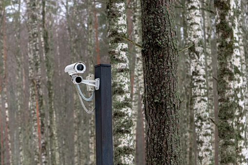White surveillance video camera in a winter forest against a background of trees.
