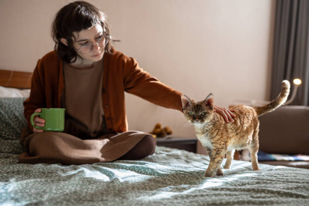 istock Tender teenager spending weekend with favourite pet at home, drinking tea, stroking cat Devon Rex 2120453809