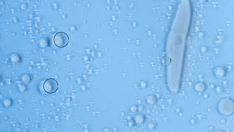 Liquid cells, shapes change when elements meet, transparent liquid on a blue background. Macro shot