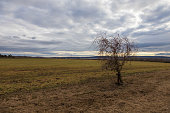 A beautiful lowland landscape overlooking the Palava region. Dark clouds in the sky. Fields and meadows.