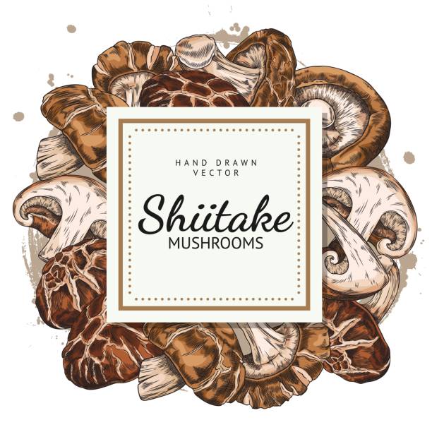 Shitake Label 70+ Dried Shitake Stock Illustrations, Royalty-Free Vector Graphics ...