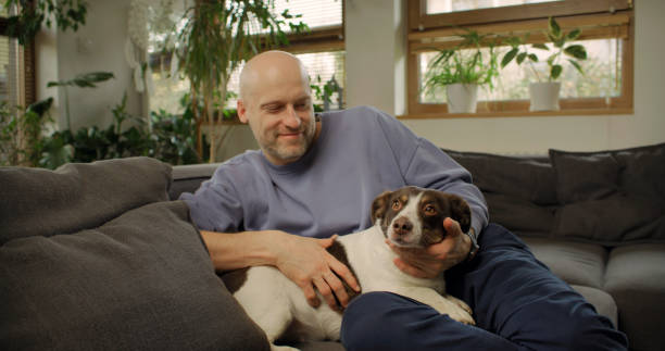 Male owner petting a cute puppy dog on the couch Man relaxing on the couch with beloved pet dog. Petting the animal happily animal head man stock pictures, royalty-free photos & images