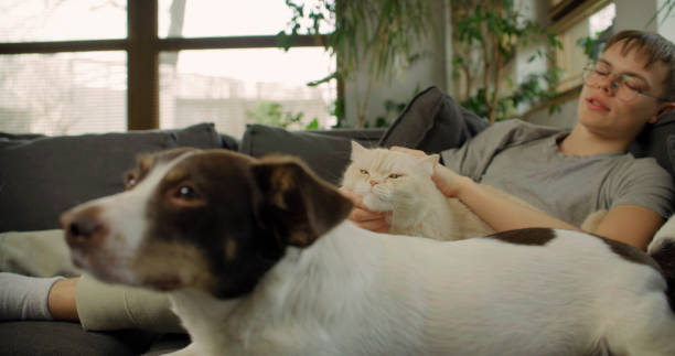 istock Dog and his owner relaxing on the sofa 2120562546
