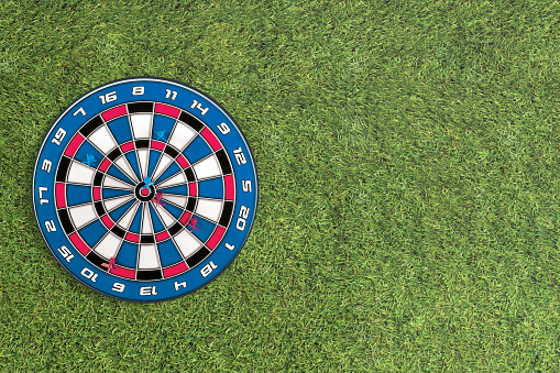 Target dart on a flat grass background