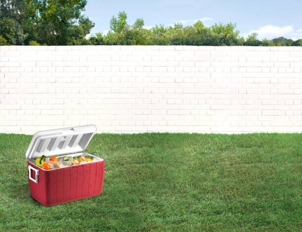 istock Red cooler with food and drinks in an empty backyard with a brick wall 2120567953