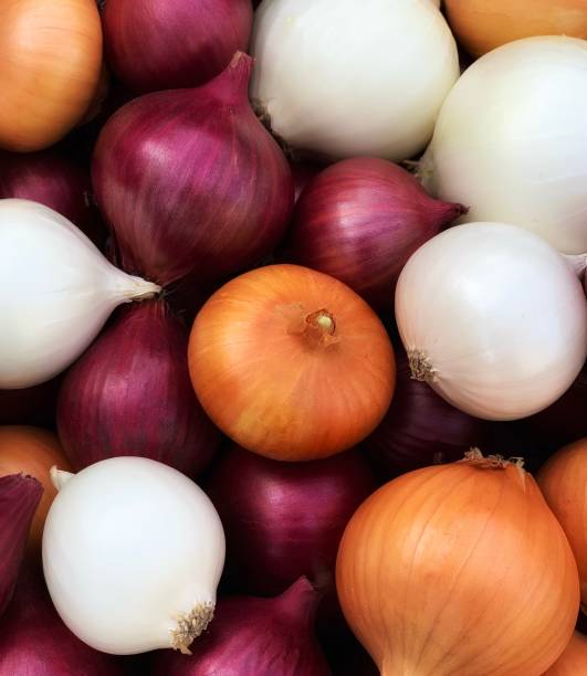 istock Background of organic onion 2120574691