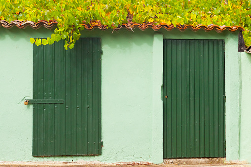 Green doors in a row. Roodftop covered with vine, small house. Galicia, Spain.