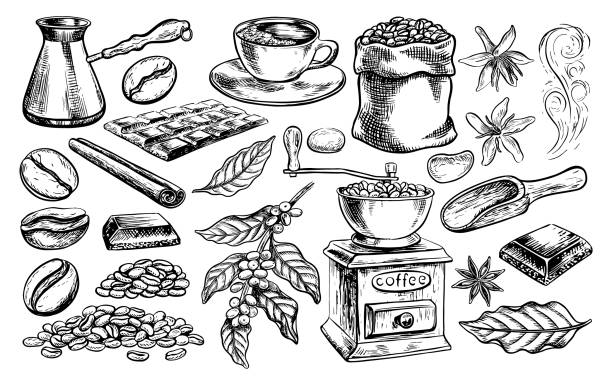 kaffeeset kaffeemühle, kaffeemaschine, tasse und getreide. vektorgrafik schwarz-weiß handgezeichnete illustration. zum bedrucken von speisekarten, postkarten und paketen. für banner, flyer und plakate. - coffee beans stock-grafiken, -clipart, -cartoons und -symbole