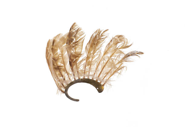 istock earrings,female decoration with ear feathers isolated on white background 2120649167