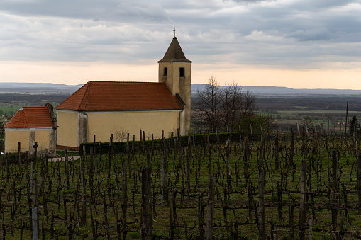 Vineyards with a chapel on the Somló Hill with cloudy sky in springtime at sunset.