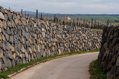 Road with stone wall and vineyards on the Somló Hill on a sunny day in springtime.
