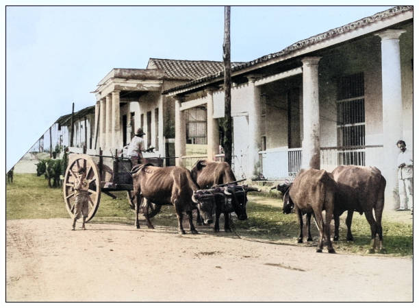 istock Antique black and white photograph: Village in Cuba 2120677784