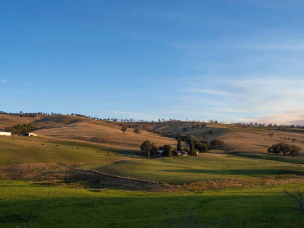 istock Late afternoon sun over farmland 2120685671