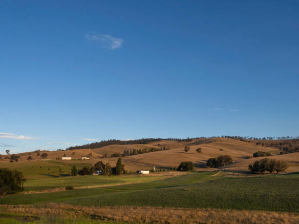 istock Late afternoon sun over farmland 2120686066