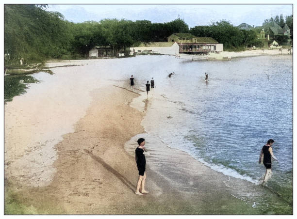 ilustraciones, imágenes clip art, dibujos animados e iconos de stock de antique black and white photograph: waikiki beach, hawaii - hawaii islands big island waikiki beach