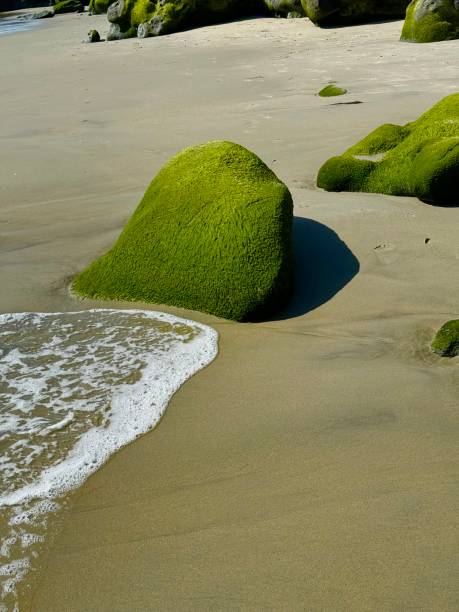 istock Laguna Beach, California 2120721030