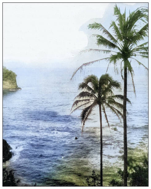 istock Antique black and white photograph: Hawaii seascape 2120727552