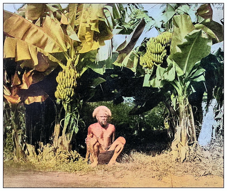 Antique black and white photograph of people from islands in the Caribbean and in the Pacific Ocean; Cuba, Hawaii, Philippines and others: Native of Samoa and his banana grove