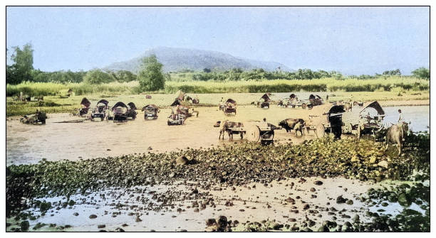 illustrazioni stock, clip art, cartoni animati e icone di tendenza di antique black and white photograph: buffalo carts, rio grande river, philippines - rio grande illustrations