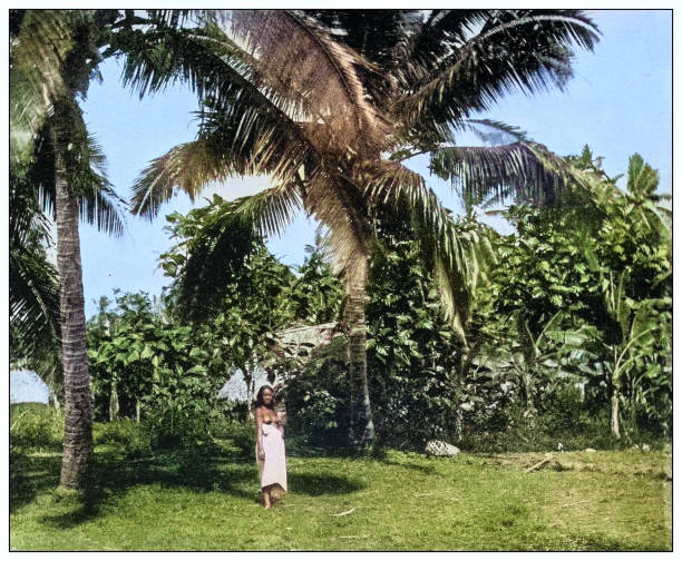 istock Antique black and white photograph: Coconut and banana grove, Tutuila, Samoa 2120850133
