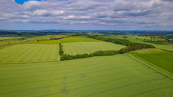 AERIAL: Stunning patterns of vibrant green fields and meadows in rural Scotland. Picturesque Scottish countryside with beautifully landscaped farmland. Fields with perfect lines of tractor tracks.