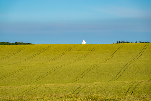 Serene rural landscape with a golden wheat field and a white lighthouse tower peeking over the top of a vibrant rolling hill. Beautiful agricultural fields just before the harvest on sunny summer day.