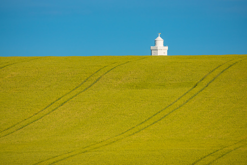 The white lighthouse tower peeks over the top of a rolling golden wheat field. Expansive agricultural land with a pattern of tractor marks on the picturesque English coastline just before harvest.
