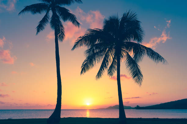 Beautiful sunset in Hawaii.