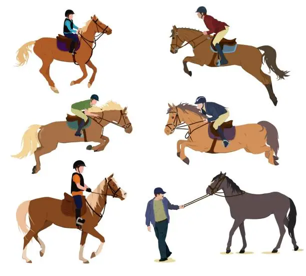 Vector illustration of a set of vector illustrations of jockeys on horseback. The theme of equestrian sports, training and competitions. Isolated on a white background