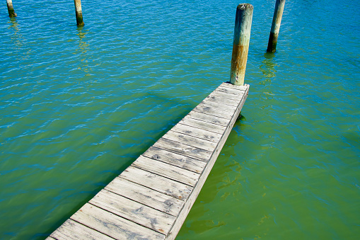 Part of a dock and pilings used for securing recreational boats near the shoreline of Chincoteague Island, Virignia.
