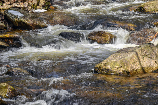 istock the cascading water of trap falls brook 2120880062