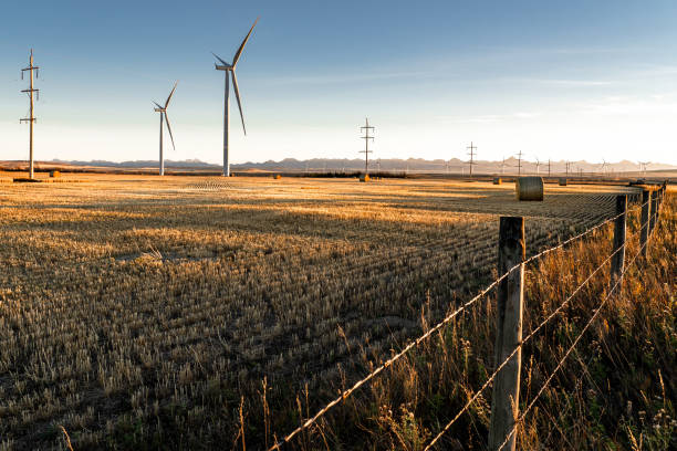 Windmills & Barbed Wire Fence