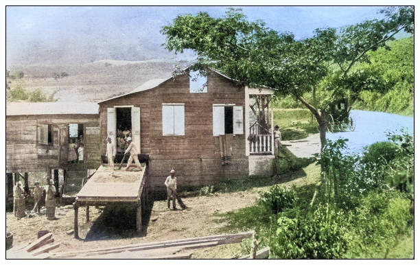Antique black and white photograph of people from islands in the Caribbean and in the Pacific Ocean; Cuba, Hawaii, Philippines and others: Coffee plantation, Puerto Rico