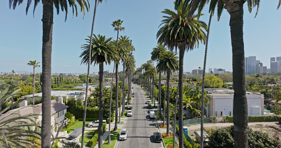 Aerial shot of residential street in Beverly Hills on a sunny, Spring day in Los Angeles, California.\nAuthorization was obtained from the FAA for this operation in restricted airspace.