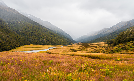 River passing through mountains in Rees Dart Valley, South Island, New Zealand.