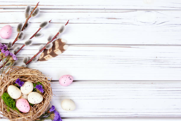 istock Easter banner with nest, eggs, willow, flowers and feathers. 2121020280
