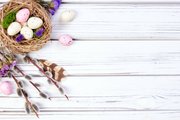 istock Easter banner with nest, eggs, willow, flowers and feathers. 2121020293