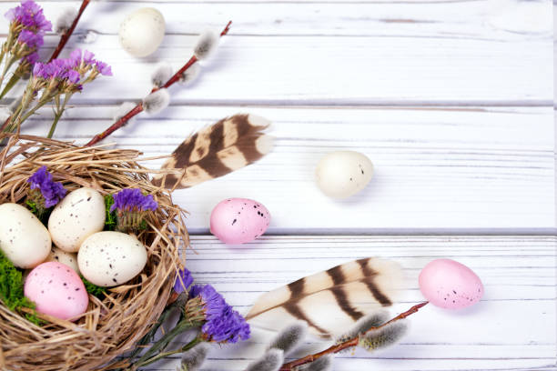 istock Easter banner with nest, eggs, willow, flowers and feathers. 2121020294
