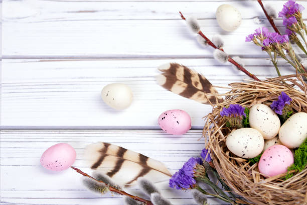 istock Easter banner with nest, eggs, willow, flowers and feathers. 2121022137