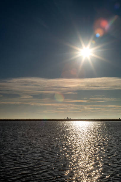 istock Morning Sun Glimmering Over Isla Mayor Flooded Rice Fields 2121043600