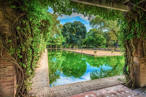 The Glorieta de los Lotos (lotus gazebo) in Sevilla's Maria Luisa Park reflects lush greenery in tranquil waters.