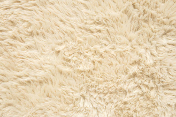 istock Brown fluffy fur fabric wool texture background 2121104327