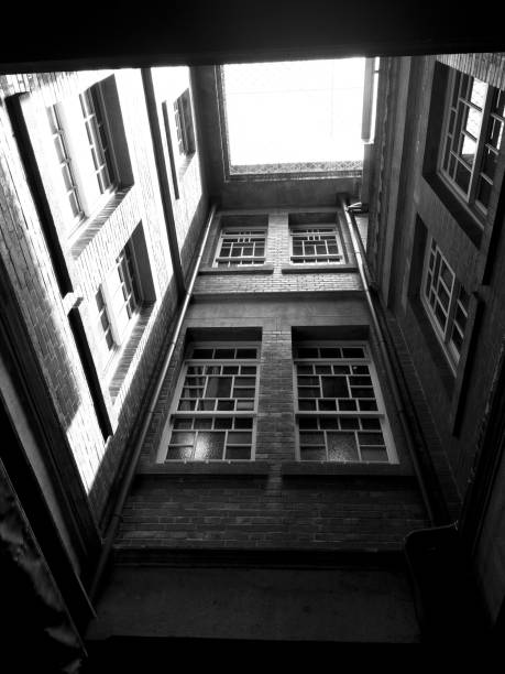 Black and white image of a narrow urban alleyway looking up towards the sky, framed by old building facades with windows.