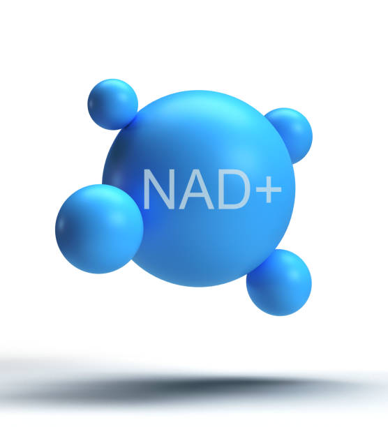 bubble ball blue color NAD+ chemistry molecular structure icon object nad formular vitamin phospate nicotinamide flat compound czech nadh adenine dinucleotide coenzy cell carbon oxygen nadp.3d render
