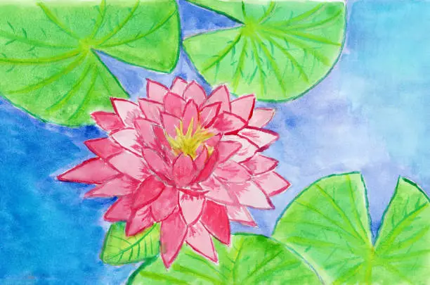 Vector illustration of Pink water lilies with green leaves