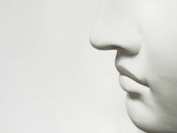 Multi colored variation of concerete textured heads. (3d render)